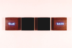  Fernando Calhau | Transfert. S/ Título #59 1989/1995. Madeira, aço, veludo e neón, 41x194 cm