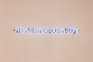 Fernando Calhau | Transfert. #308 (This is not a landscape) 2002. Neón, 6x113 cm