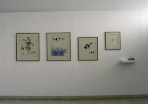 Lourdes de Castro | Pintura. Grande herbário de sombras.