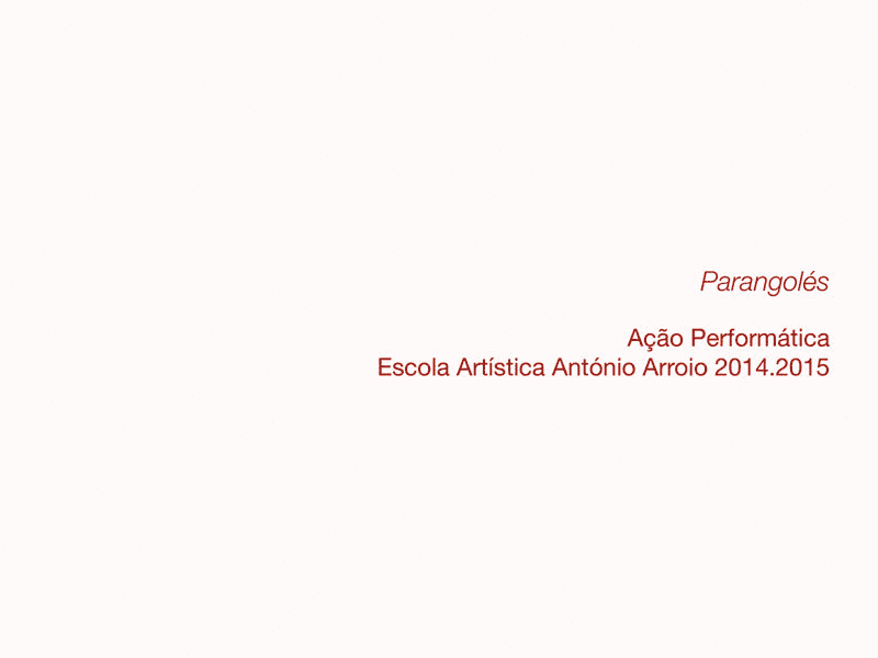 11º 2014/15 - Ação Performática - Parangolés de Hélio Oiticica
